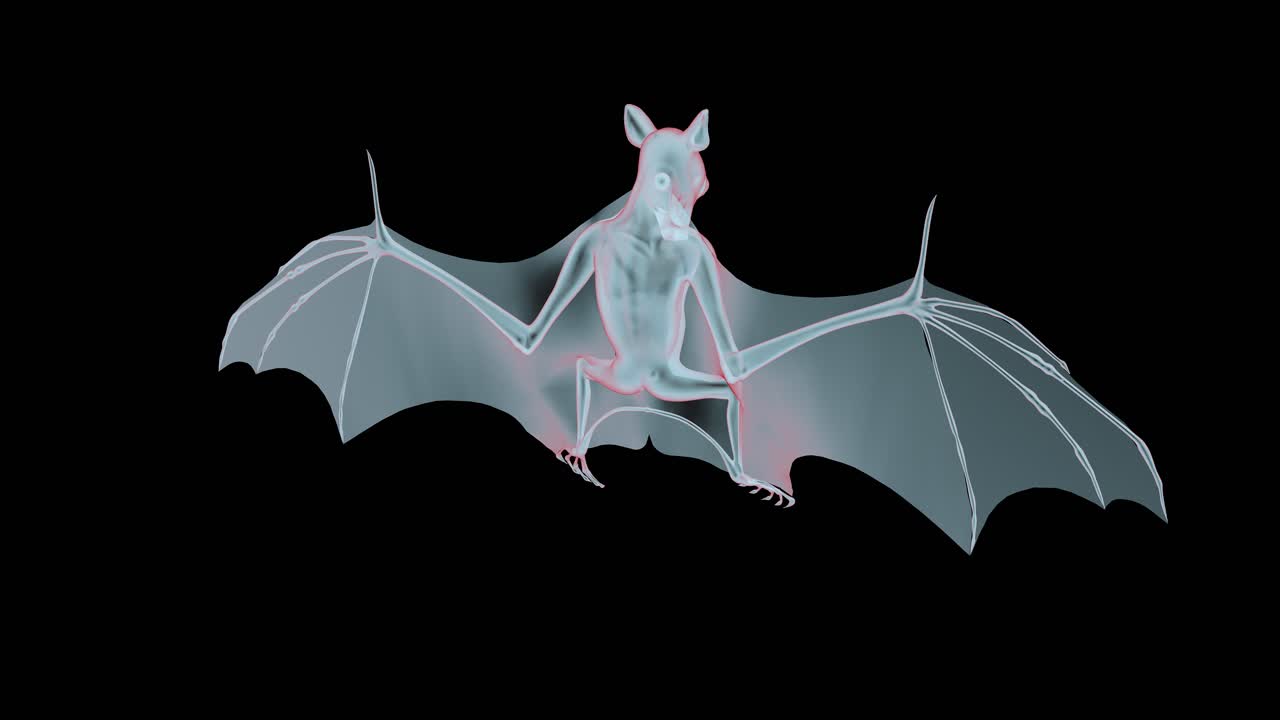 presentaciones médicas de la enfermedad del coronavirus en video gráfico con murciélago