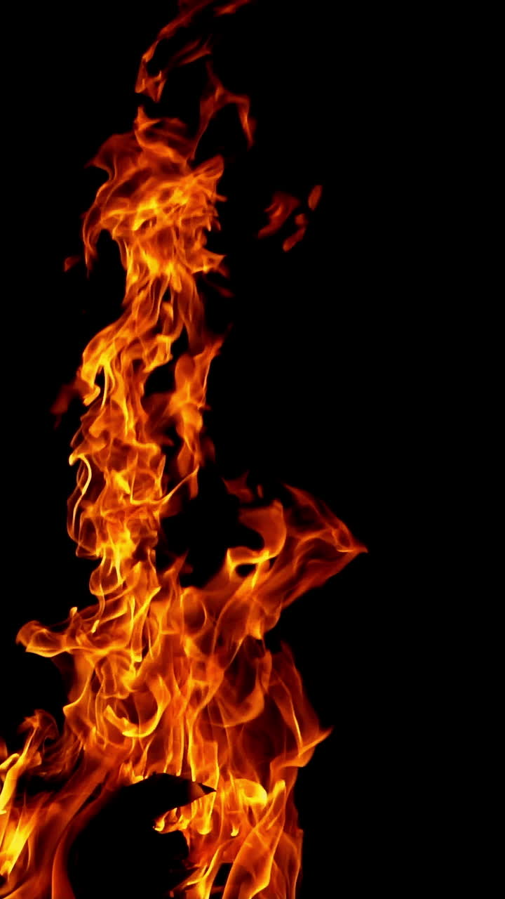 Bonfire burning at night. Flames of fire on black background in slow motion. Vertical video