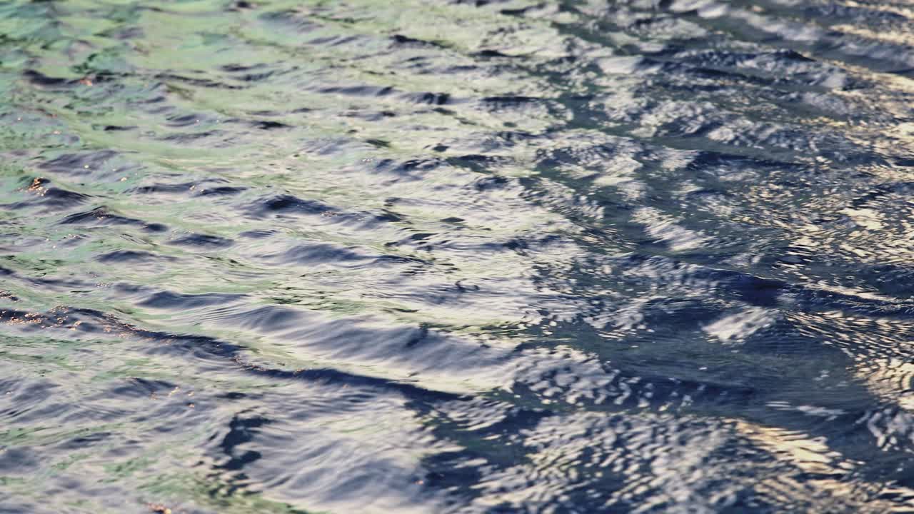 Swimming Pool Water with Reflection of Sunlight, Close Up Shot.