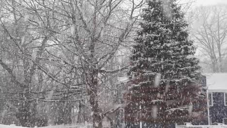 view of trees and house in heavy snow fall in winter, handheld