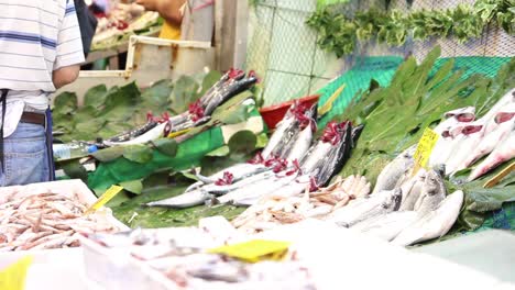 fresh sea fish on the counter of the fish store