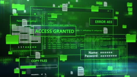 cybersecurity system interface with access granted and error 403