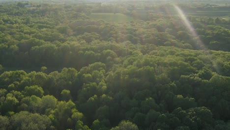 Antena-De-Un-Espeso-Bosque-Durante-El-Anochecer-En-Las-Colinas-De-Wisconsin,-Ee.uu.-Durante-Este-Cálido-Y-Brillante-Día-De-Verano