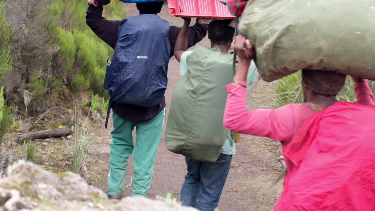 무거운 장비를 머리 위에 고 아프리카 알파인 습지를 가로질러 운반하는 운반자들의 클로즈업