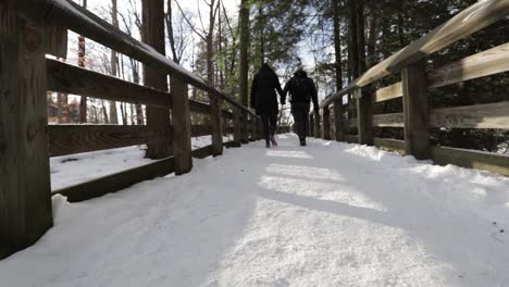 Zwei-Menschen-Gehen-Einen-Verschneiten-Weg-Entlang