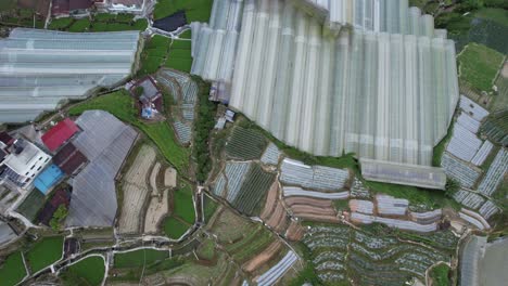 general landscape view of the brinchang district within the cameron highlands area of malaysia