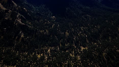 panorama-of-cone-forest-at-mountains