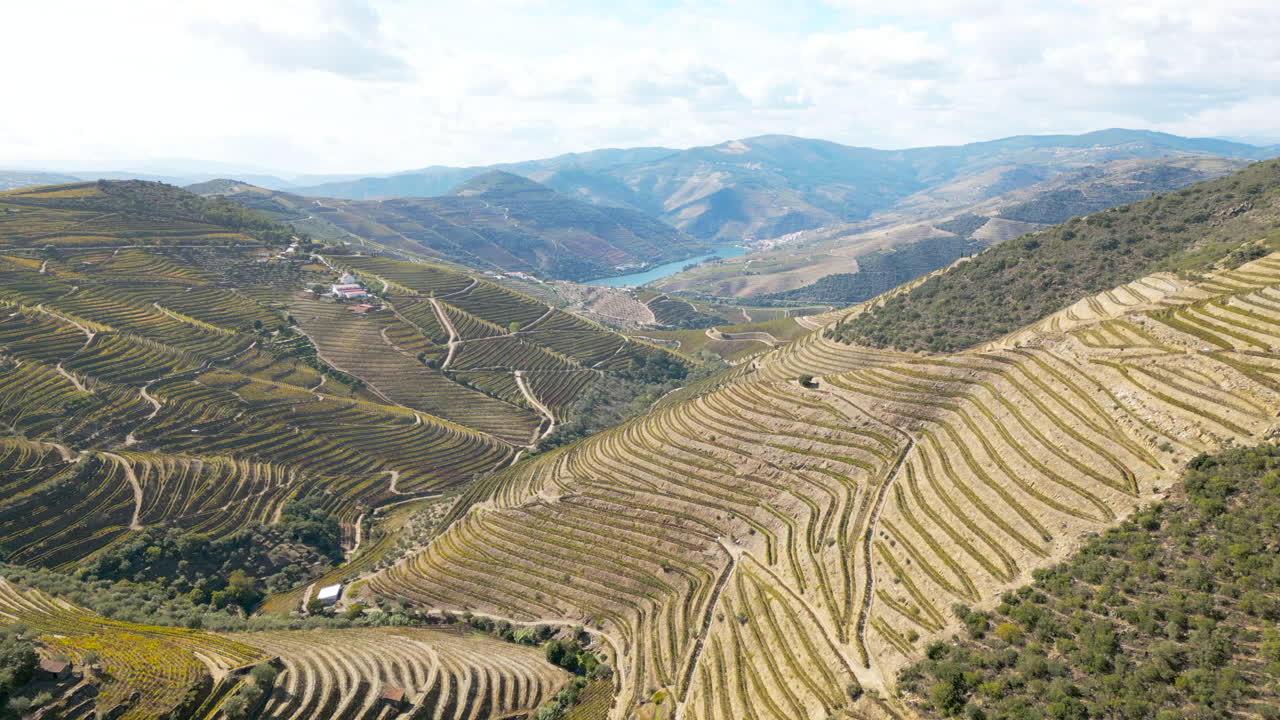 Una vista panoramica dei pendii del Douro