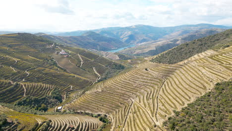 Ein-Malerischer-Blick-Auf-Die-Douro-Hänge