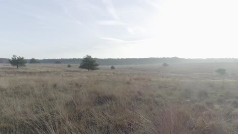 Drohnenaufnahme-Der-Natur-Und-Eines-Mountainbikers