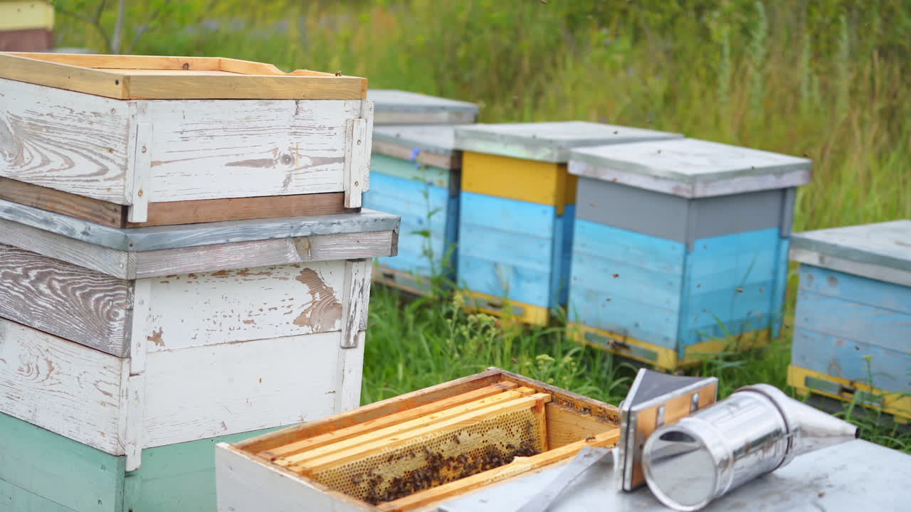 Man in apiary protective clothes cleans honeycomb with brush. Selective focus on wooden frame for collecting honey.
