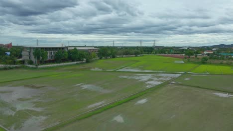 Drone-Aéreo-Descendiendo-Sobre-Arrozales-Con-Agua-Y-El-Hotel-Navela-En-La-Provincia-De-Ratchaburi,-Tailandia