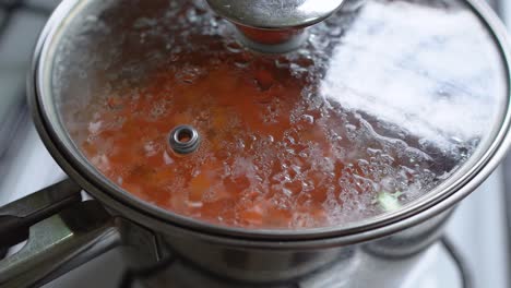 cooking a homemade tomato sauce in the pot