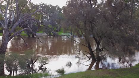 aerial rise up view over fast flowing flooded