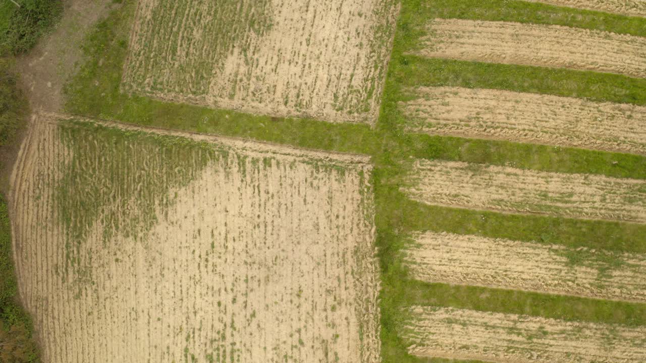 vista aérea de arriba hacia abajo del patrón de los campos de cultivo, disparo ascendente