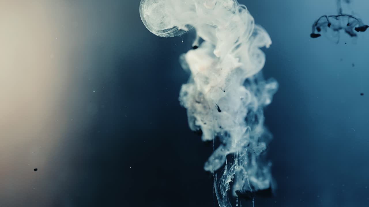 Colore bianco che si espande nell'acqua mescolandosi con una goccia di colore nero