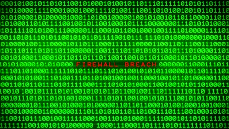 firewall breach word revealing on wall of green binary code  between random binary data matrix background