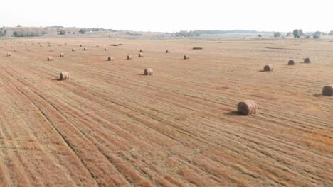 campo con pajares. pajares en el campo inclinado. cosecha en el campo. balas de heno enrolladas en el campo agrícola. concepto de agribusiness
