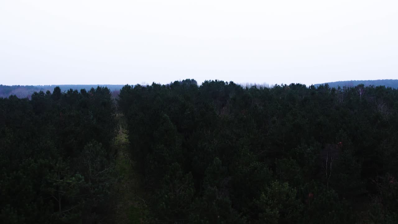 Shot of a lake behind trees in a wintery country park in the English countryside