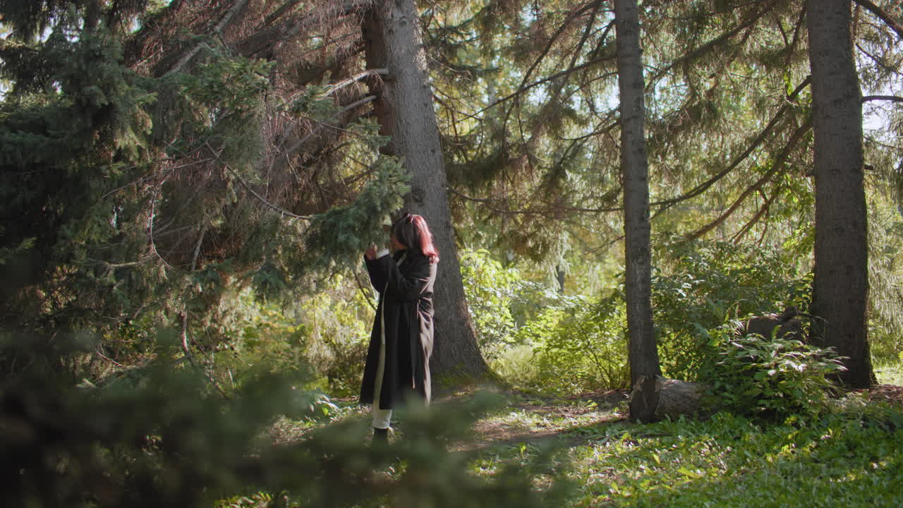 Elegante joven con abrigo largo toca la rama de un árbol con colores otoñales, de pie bajo un dosel de pinos en un bosque iluminado por el sol, admiración por la naturaleza delicada, texturas del follaje de temporada, exploración serena al aire libre