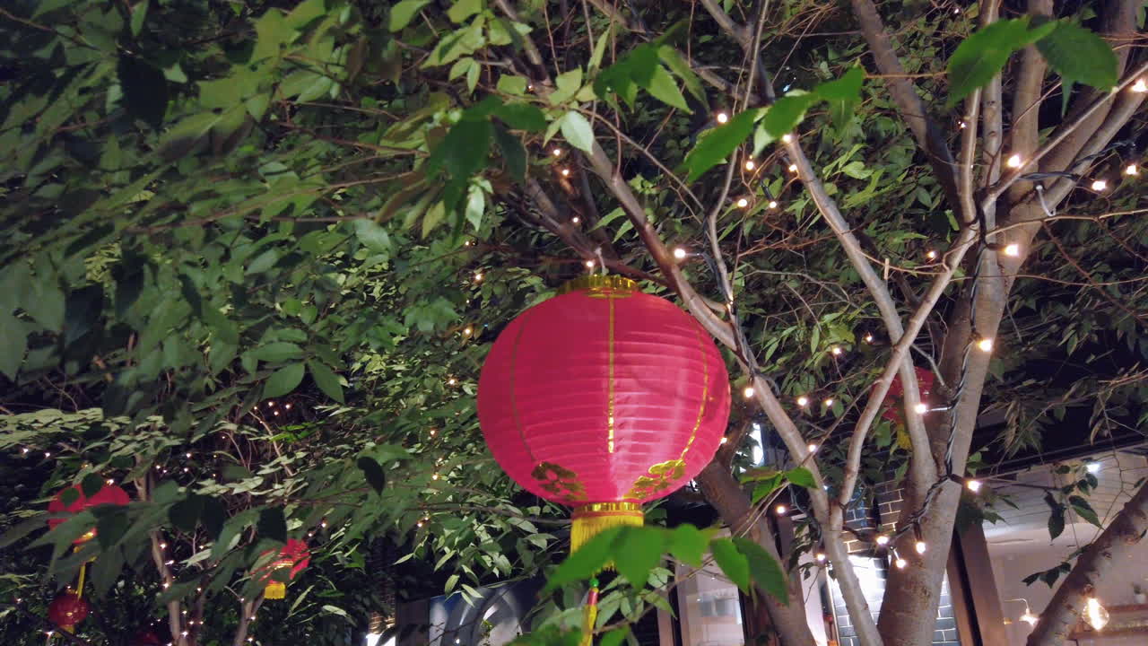 요정 조명 장식으로 나무에 매달려 중국 랜턴