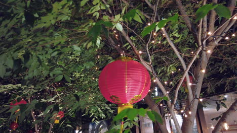 linterna china colgando de un árbol con decoración de luces de hadas