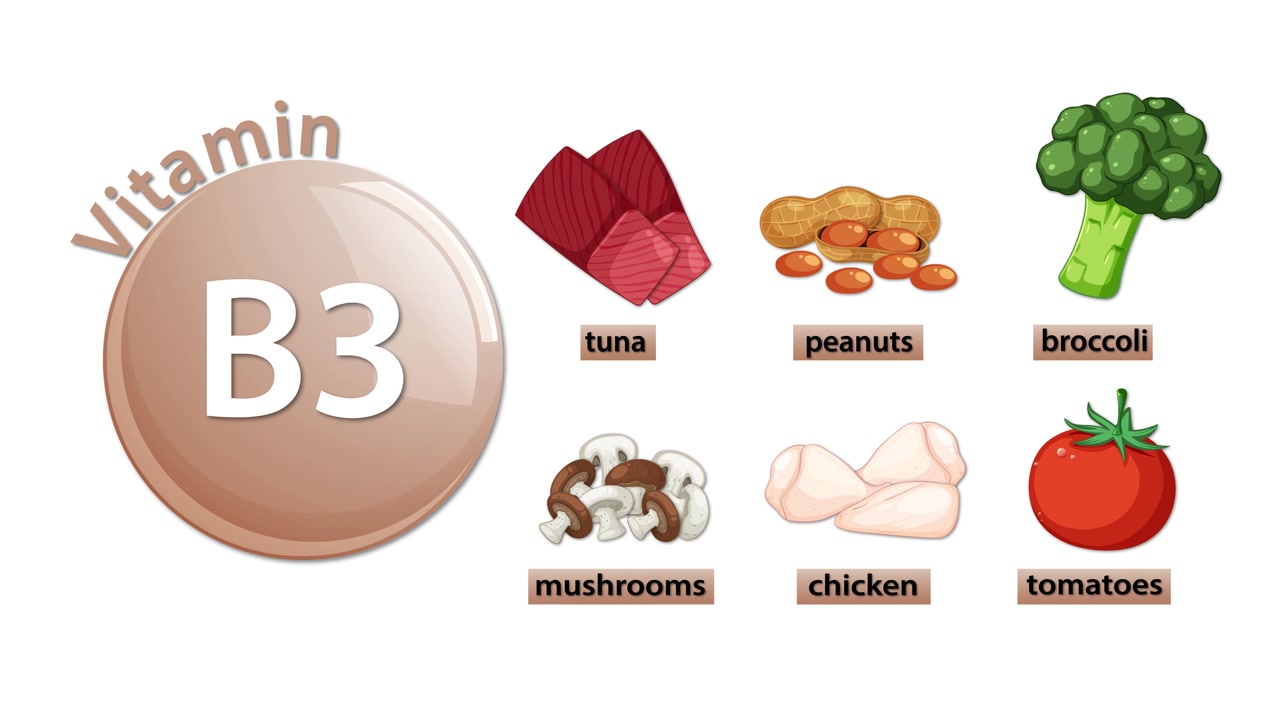 Animated infographic showcases Vitamin B3-rich foods with labeled illustrations, smooth transitions, and clean background