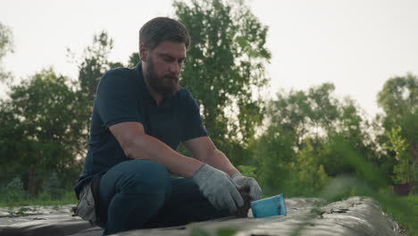 gardener kneels in field bed covered with black mulch removes delicate strawberry seedling from blue plastic cup with gloved hands and lowers root ball into drilled hole under backlit garden light