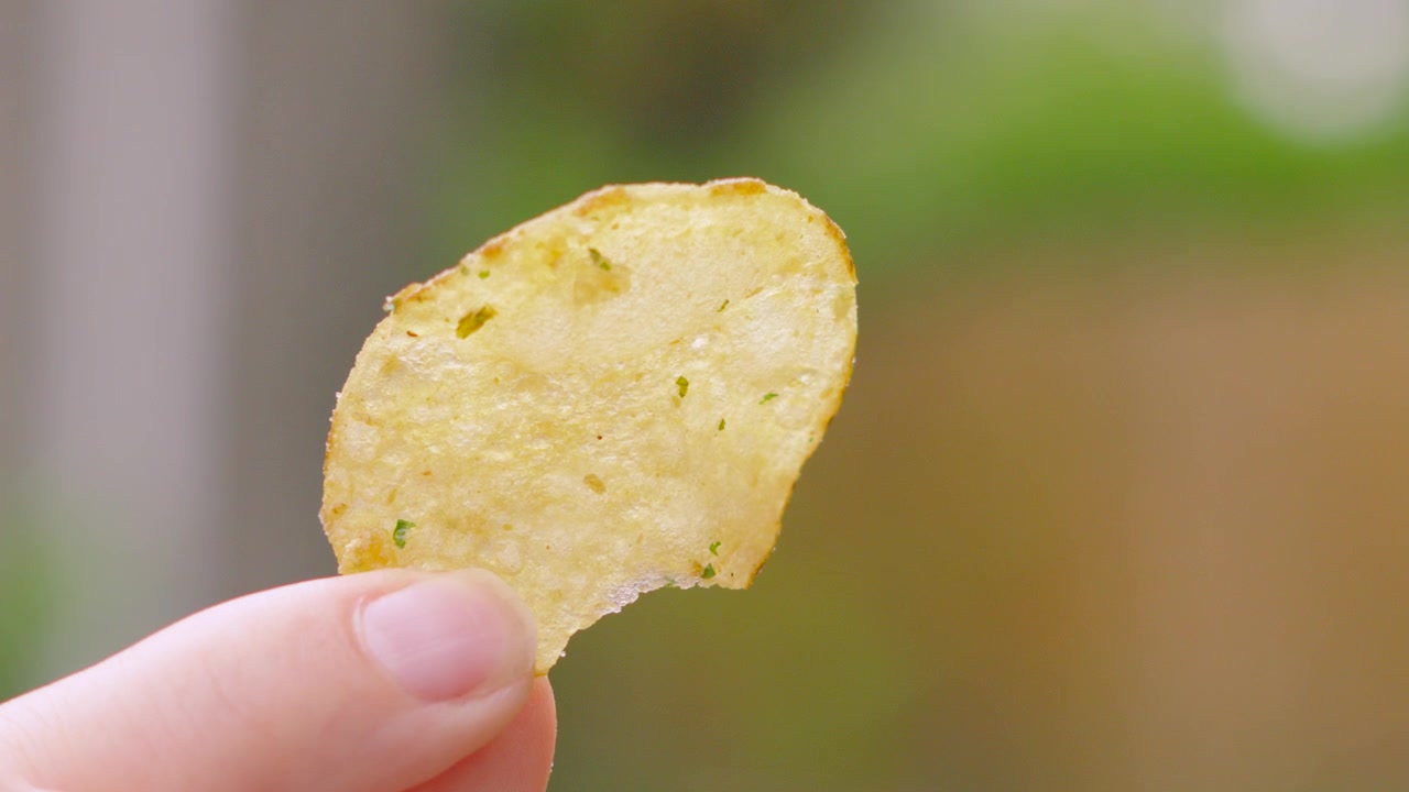 Female Hand Holding Crisp Potato Chip in Natural Light Showing Texture and Details. Unhealthy Tasty Food, High in Salt. 4K.
