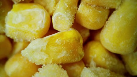 sweet and juicy frozen corn kernels macro close up