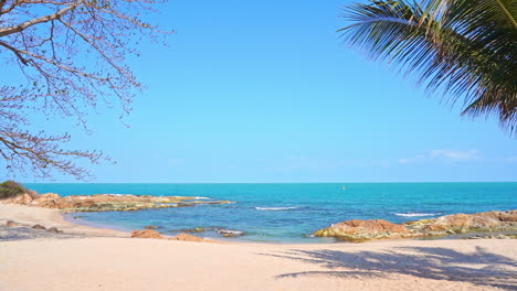 palm tree branch at exotic sandy beach uninhabited island daytime sunny weather