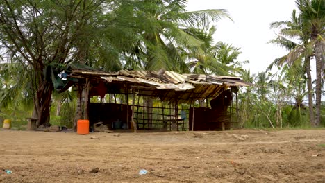 a lonely abandoned mud house on the roadside