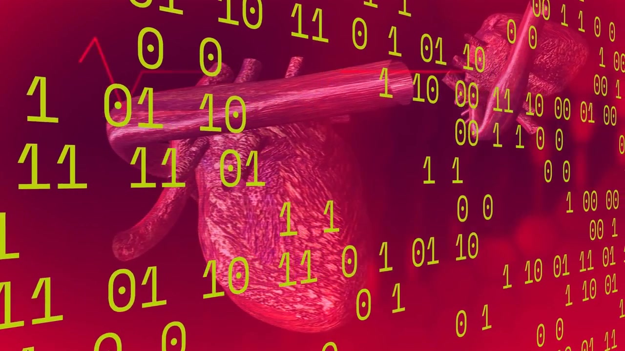 Modello digitale di cuore umano con dati binari in streaming