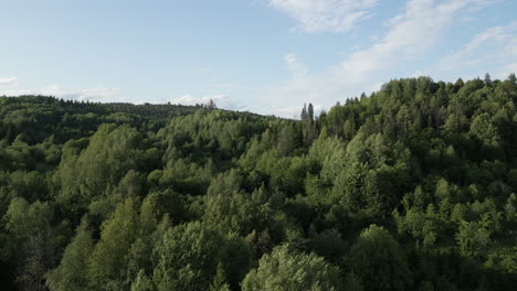 paisaje forestal con una iglesia