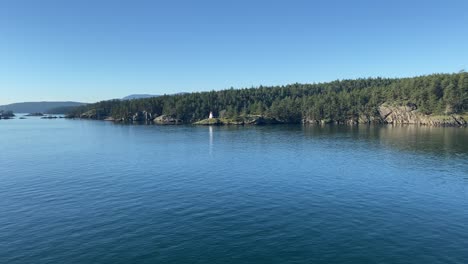 coastline landscape view of a white lighthouse surrounded by pine trees and calm ocean water