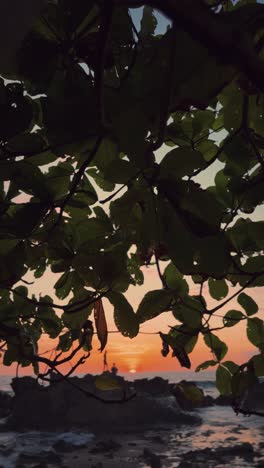 vibrant sunset over a rocky shoreline, seen through lush green leaves, creating a tropical and serene coastal atmosphere