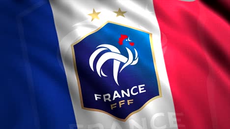 france national football team flag