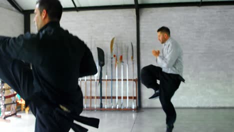 luchadores de kung fu practicando artes marciales 4k