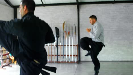 kung fu fighters practicing martial arts 4k