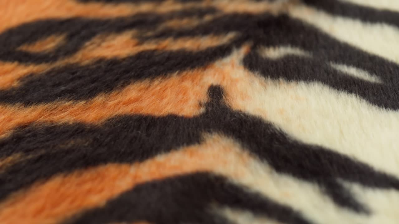 tejido de piel de tigre de primer plano. fondo de impresión de animales, textil de lana a rayas. símbolo del año 2022. hecho a mano, diseño de moda y concepto de sastrería.