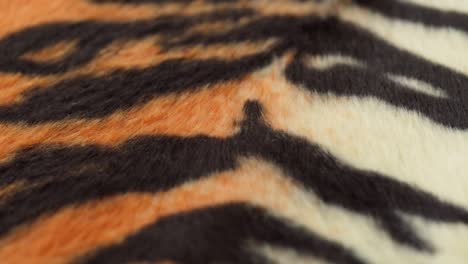 tiger fur fabric close-up. animal print background, striped wool textile. symbol of year 2022. handmade, fashion design and tailoring concept