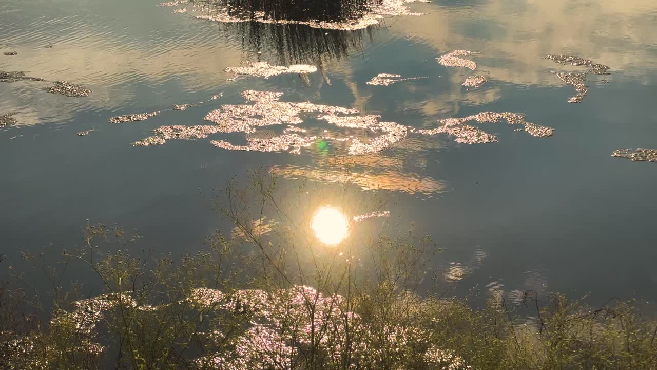 Sun reflecting in still water of a pond with grass