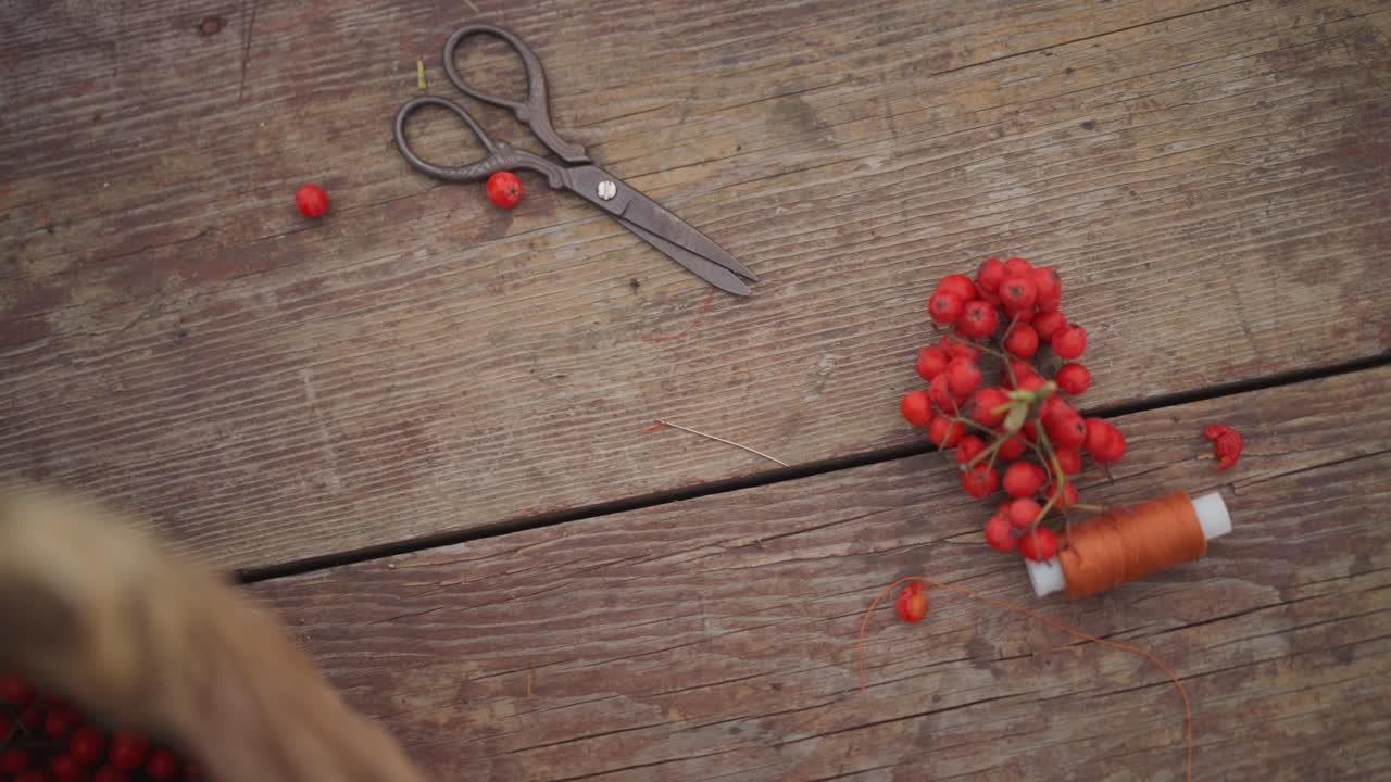 Red berries on wooden table, vintage scissors and spool of thread beside woven basket, small cluster of bright rowan berries arranged into seasonal decoration weathered wood grain, warm earthy tones