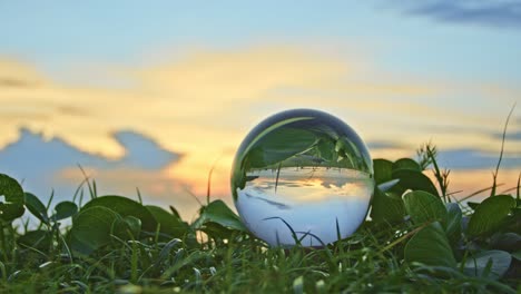 sunset in a crystal ball placed on the  morning glory.