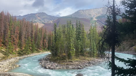 agua de glaciar azul que fluye de la caída de sunwapta en el parque nacional de jasper