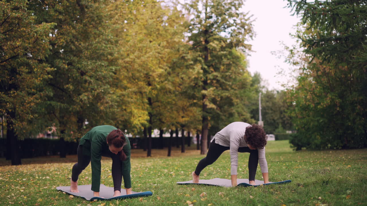 Two Women Practicing Yoga in an Autumn Park