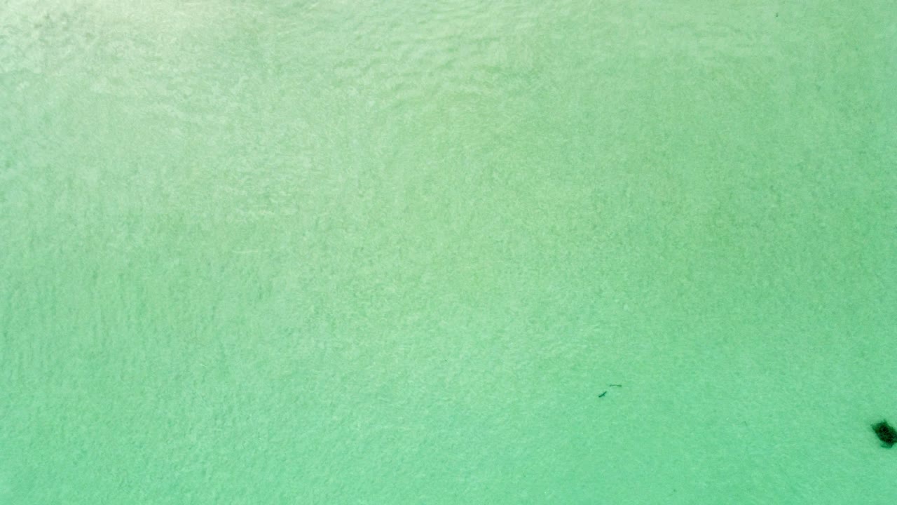 모래 해변 과 물결 이 있는 바다 의 공중 풍경