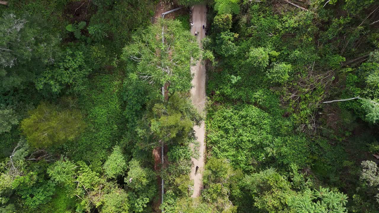 People riding bicycles emerge from an old train tunnel along a tourist rail trail pathway. High view