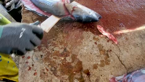 hombre manos filete caballa atún con cuchillo en la mesa rústica, pescado crudo entero