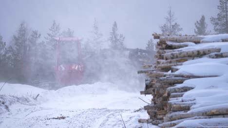 birch log pile on timber industrial site snow-capped under snowfall - wide static shot